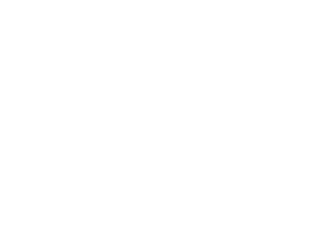 TypeORM Logo